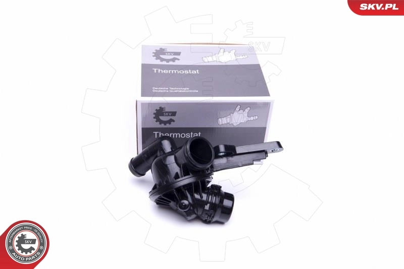 Thermostat, coolant